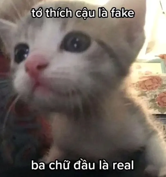 Tình yêu ảnh meme em bé có chữ sẽ là cách bạn thể hiện tình yêu theo cách vô cùng dễ thương!