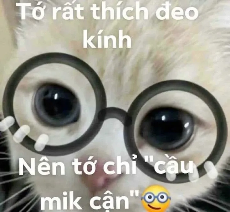 Meme yêu 1 người vô tâm sẽ giúp bạn bày tỏ nỗi lòng với người không nhận ra tình cảm!