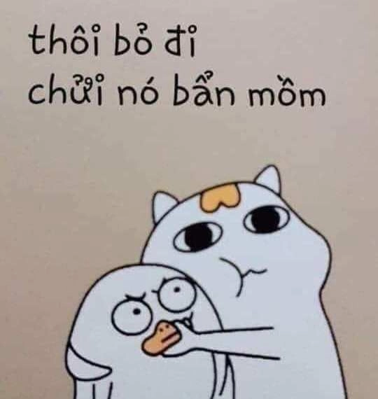 Cuộc sống không phải lúc nào cũng hoàn hảo, nhưng vẫn đầy tiếng cười như meme 10 điểm không có nhưng.