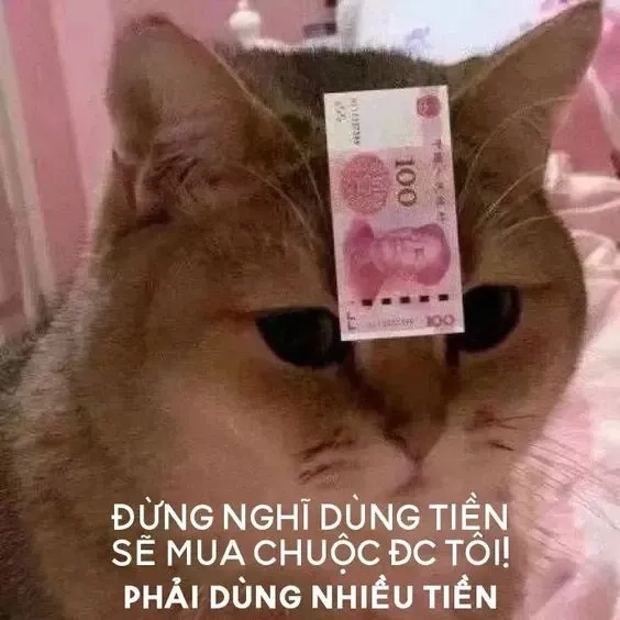 Hết tiền meme giúp bạn truyền tải cảm xúc 