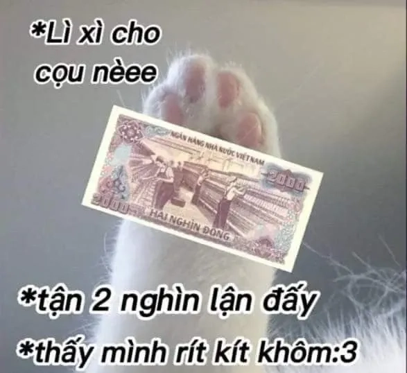 Tải ngay meme đưa tiền đây để tăng tính dí dỏm.