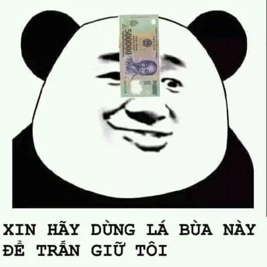 Meme mèo cầm tiền đáng yêu, khiến ai cũng phải bật cười.