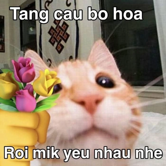 Ảnh meme tình yêu cute sẽ khiến trái tim bạn rộn ràng.