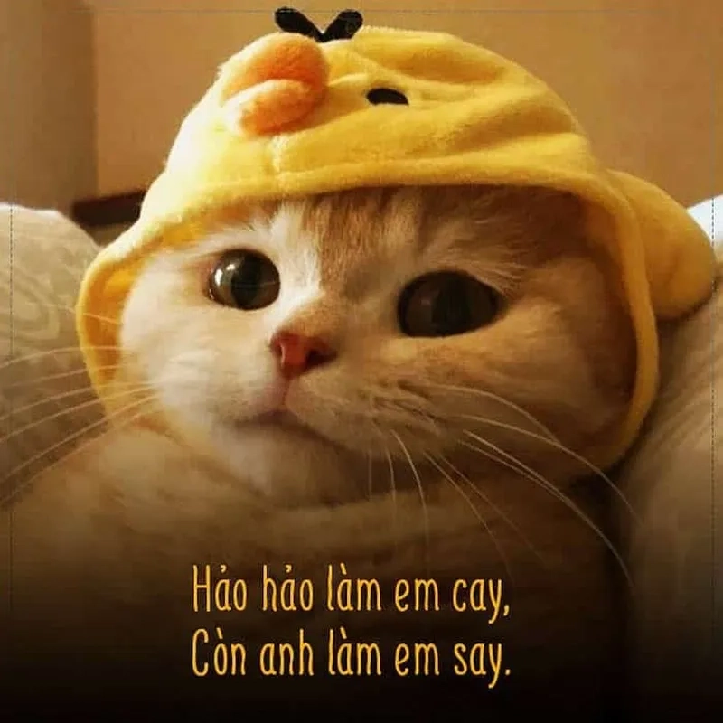 Tình yêu to lớn meme giúp bạn cảm nhận tình yêu mạnh mẽ.