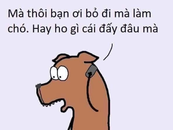 Lại một câu chuyện đời thực, hoàn hảo cho meme chuyển khoản không làm mà đòi có ăn.