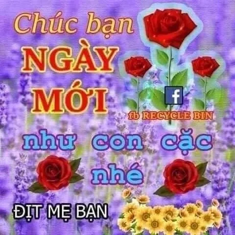 Ảnh meme troll việt nam luôn tạo ra những pha bất ngờ và hài hước khó quên.