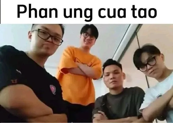 Funny meme việt nam luôn làm cho mọi người không thể ngừng cười mỗi khi nhìn thấy.