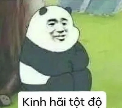 Ngu thì chết meme sẽ khiến bạn phải bật cười với sự ngốc nghếch đầy hài hước.