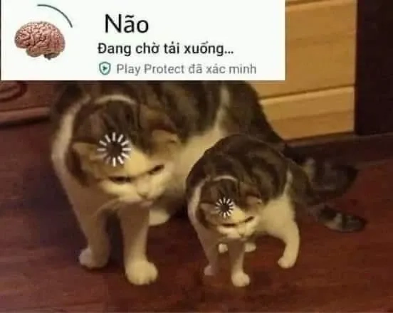 Meme giả ngu tạo nên những khoảnh khắc hài hước và vui nhộn.