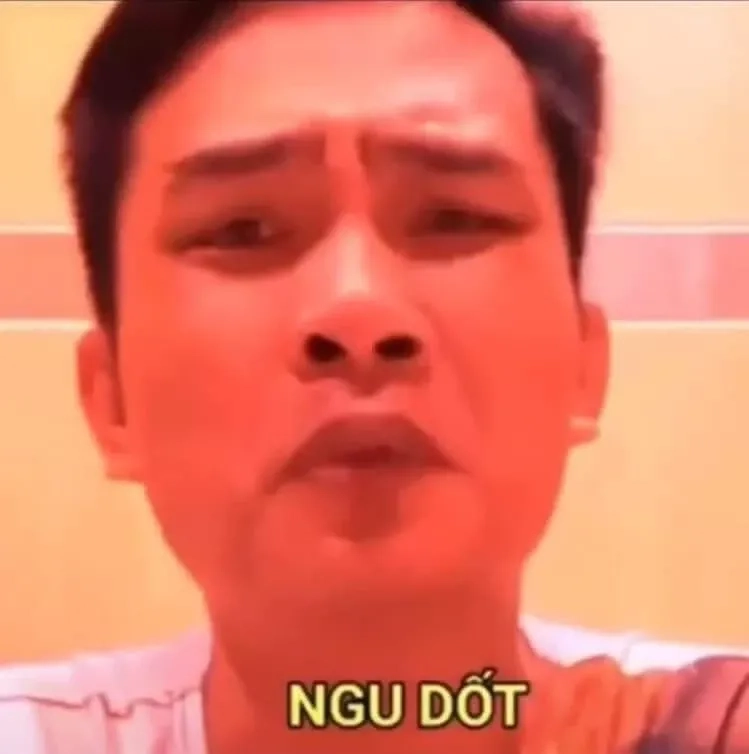 Mặt ngu meme khiến bạn không thể ngừng cười với sự ngớ ngẩn và đáng yêu.