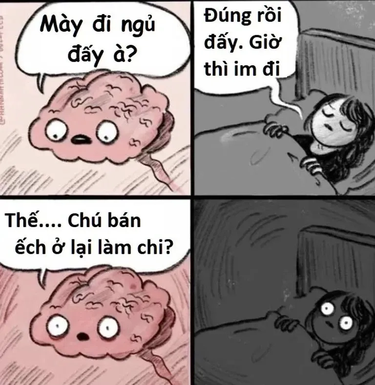 Lườm nguýt meme mèo lườm mang đến sự hài hước, ngây ngô nhưng đáng yêu.