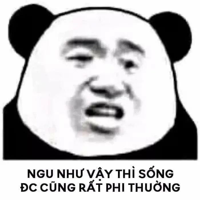 Đồ ngu đồ ăn hại meme thể hiện sự ngớ ngẩn, đáng yêu với một chút hài hước.