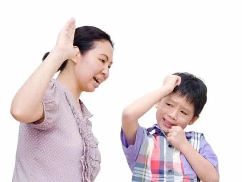 Meme mèo giận dữ sẽ làm bạn không thể không phì cười với vẻ mặt dễ thương của nó.