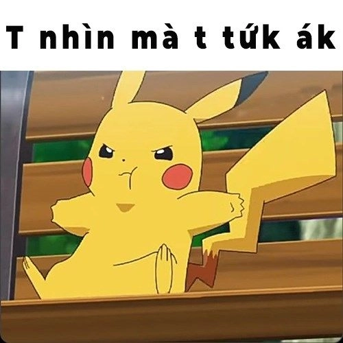 Meme tức á dễ dàng làm bạn cười vang cả ngày.