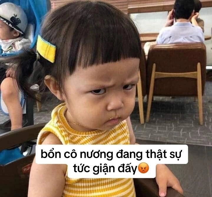 Mèo meme tức giận sẽ khiến bạn phải cười ngất vì sự đáng yêu.