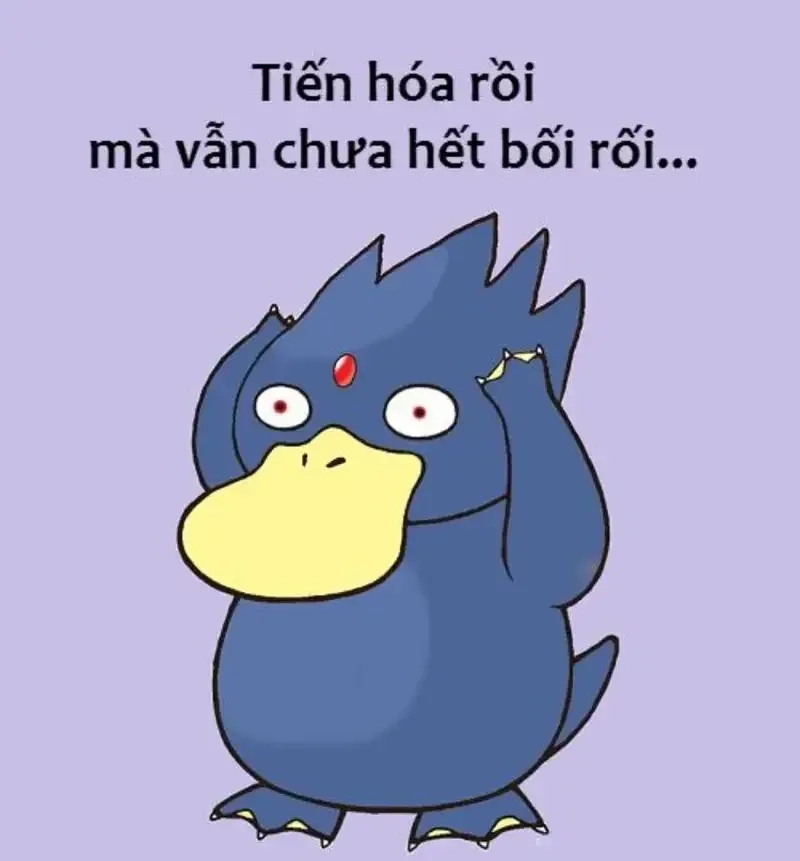 Duck vịt meme thú vị, lan truyền mạnh mẽ trên mạng xã hội.