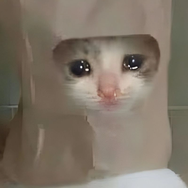Meme mèo buồn bã như đang giấu nỗi lòng không thể nói