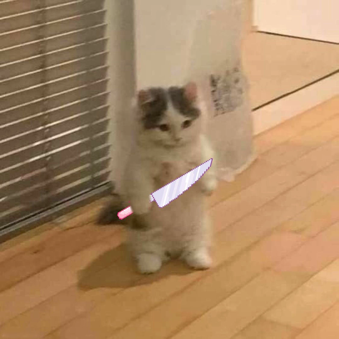 Mèo cầm dao meme chất lừ với biểu cảm siêu hài