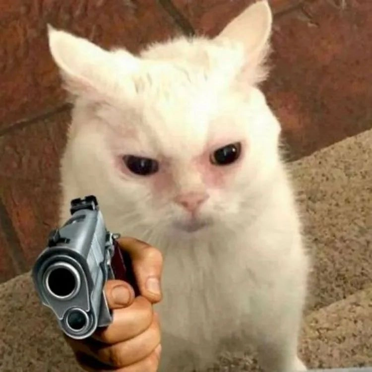 Meme con mèo cầm súng với biểu cảm cực kỳ nguy hiểm