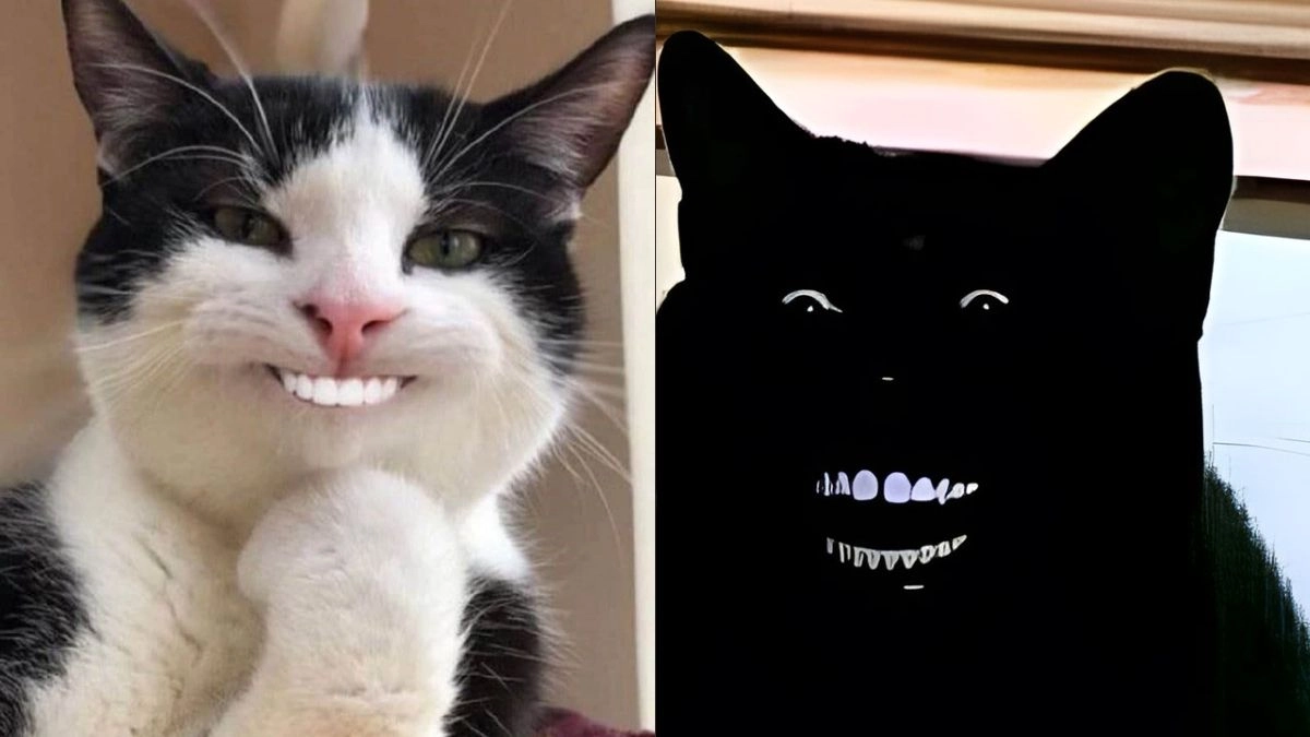 Meme cười ẻ khiến ai nhìn cũng phải bật cười
