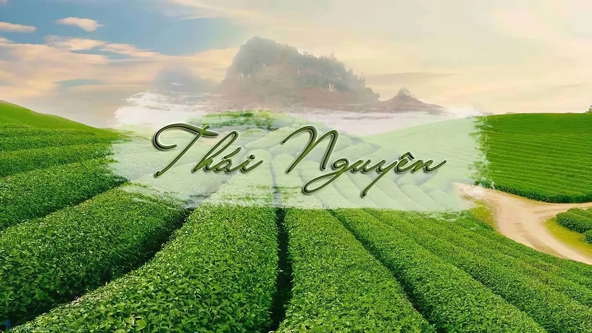 Thời tiết Thái Nguyên thuộc kiểu khí hậu nào?