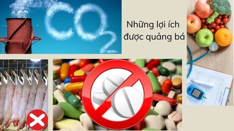 Những lợi ích được quảng bá rộng rãi nhất