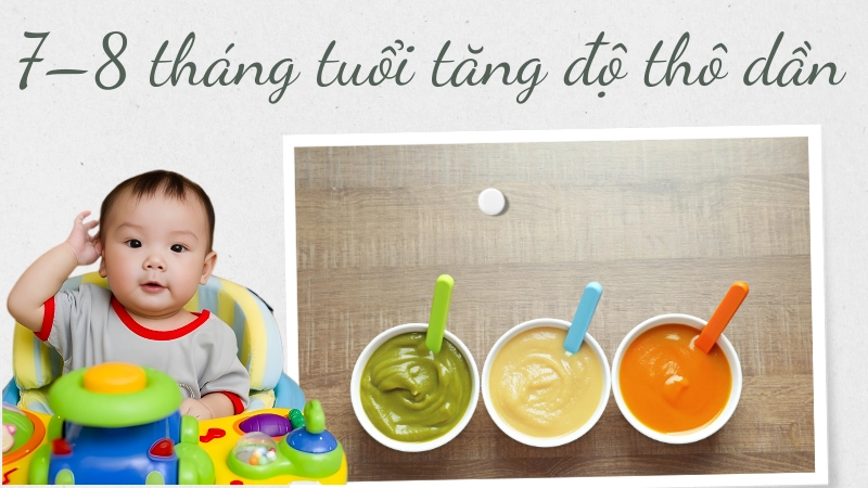 7–8 tháng tuổi tăng độ thô dần – Bé tập nhai nuốt