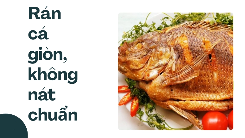 Mẹo nhỏ giúp bạn có cách rán cá không bị nát cực chuẩn