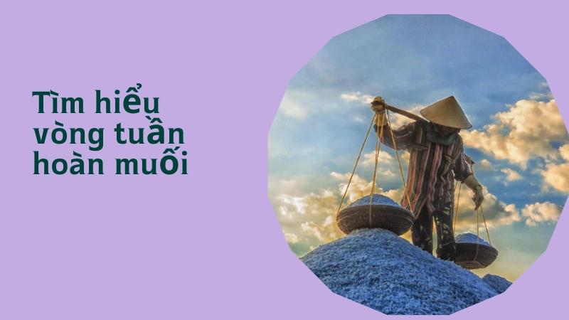 Trải nghiệm tìm hiểu vòng tuần hoàn của muối