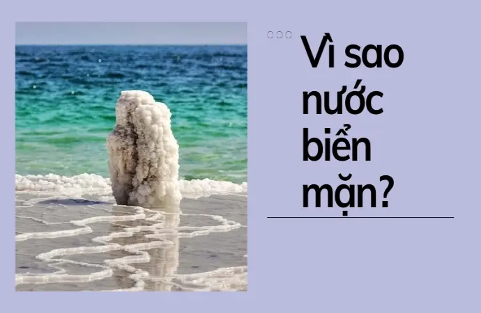 Kinh nghiệm giải thích hiện tượng tại sao nước biển mặn