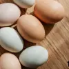 Món ăn đơn giản từ trứng cho người bận rộn mỗi ngày