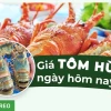 Giá Tôm Hùm Bông Hiện Nay: Hướng Dẫn Chọn Mua Tươi Ngon, Chuẩn Vị