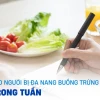 Thực đơn cho người bị đa nang buồng trứng: Hướng dẫn chi tiết 7 ngày