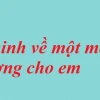 Thuyết minh cách làm món gà kho gừng chuẩn vị