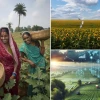 Enhancing Agricultural Resilience Through Weather Alerts for Farmers India in 2026