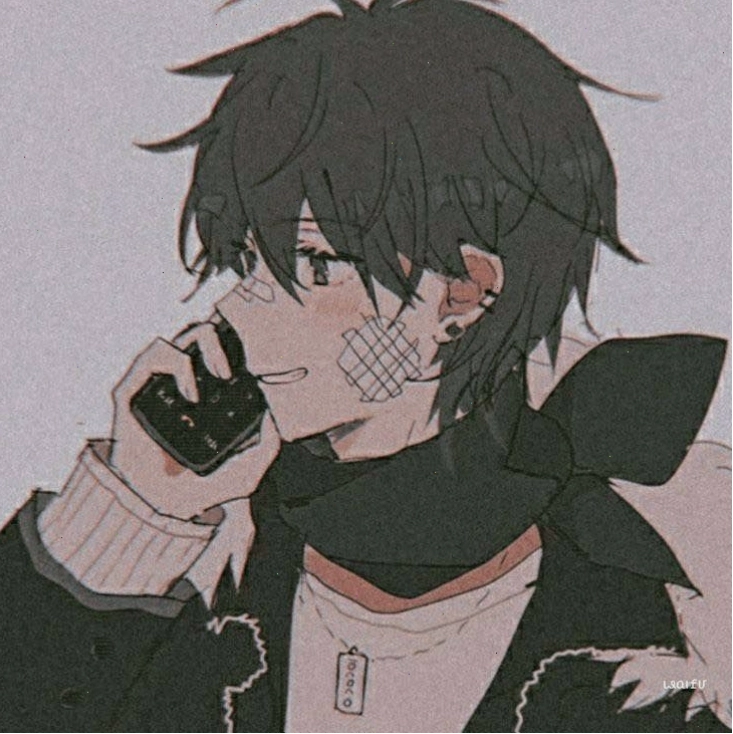 Ảnh đại diện đôi anime