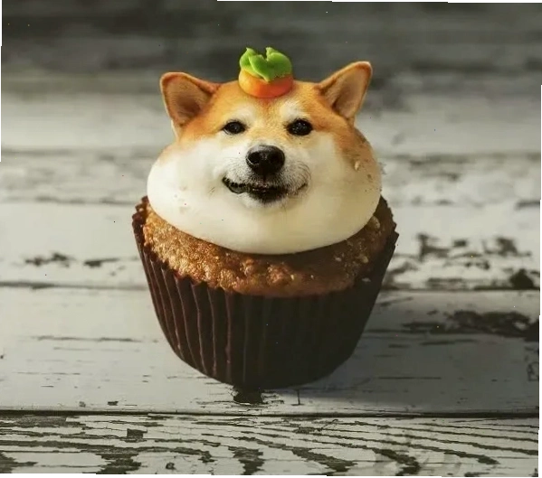 Ảnh meme chó Shiba vui nhộn