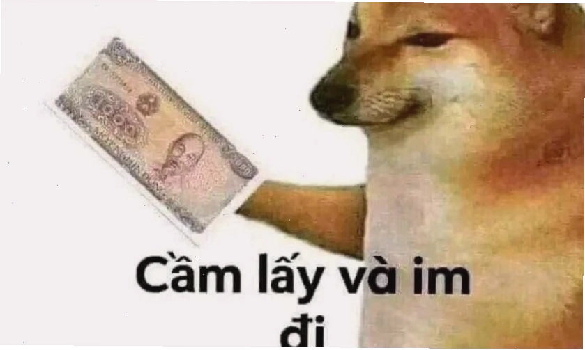 Ảnh meme hài hước 2025 thể hiện sự ngơ ngác