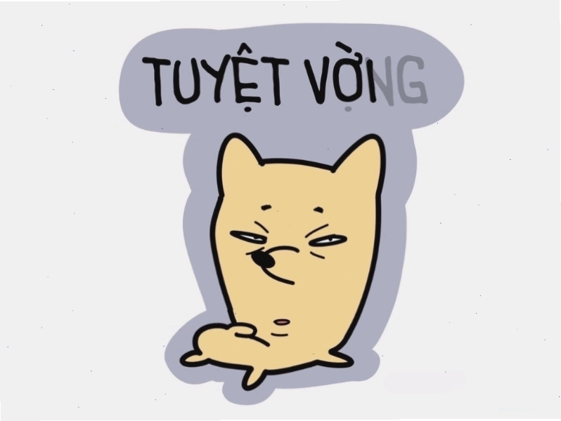 Ảnh meme mèo "tuyệt vời và tuyệt vọng" thể hiện sự đối lập