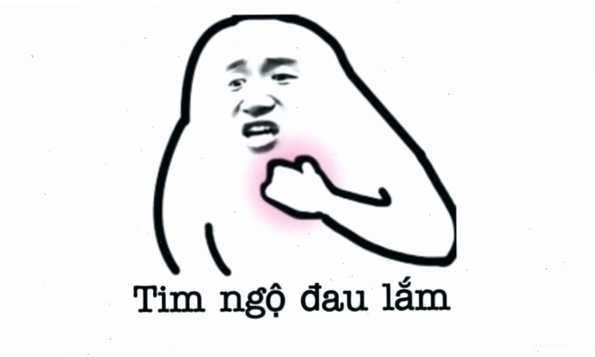 Ảnh meme mèo với biểu cảm hài hước, chuẩn bị thể hiện sự vô tri