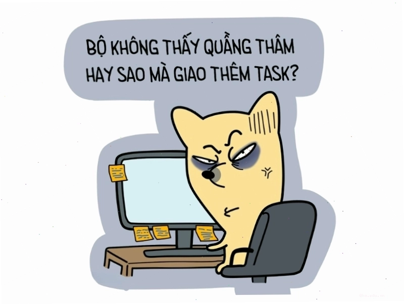 Ảnh meme mèo với câu nói dí dỏm "không thấy quầng thâm hay sao mà giao thêm task"