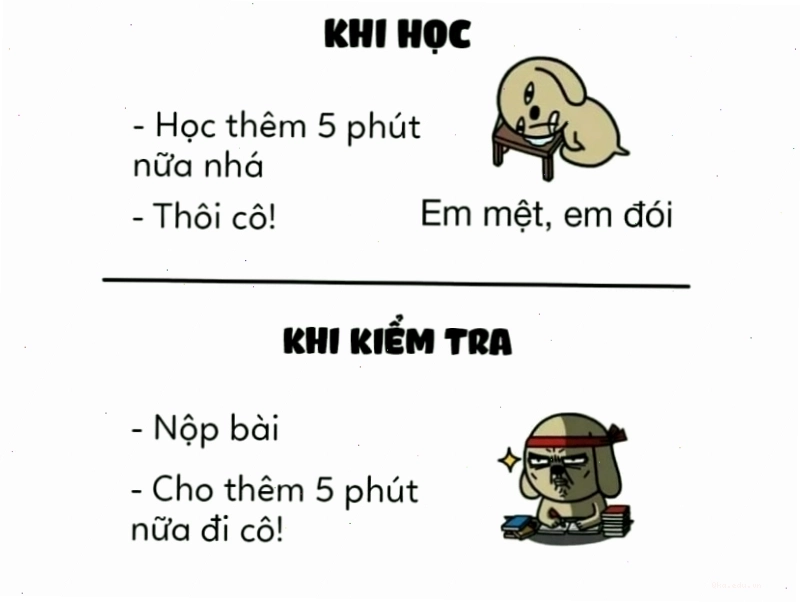 Ảnh meme so sánh 5 phút khi học và khi kiểm tra