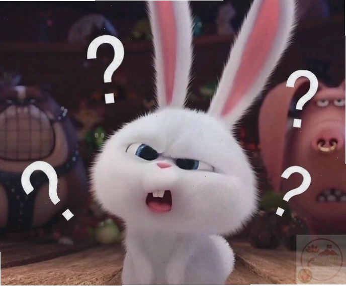 Ảnh thỏ Snowball meme với biểu cảm tinh nghịch