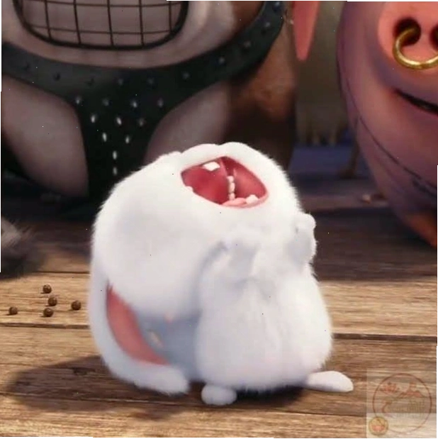 Ảnh thỏ Snowball với biểu cảm buồn