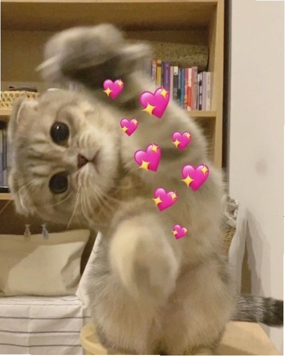 Avatar mèo dễ thương