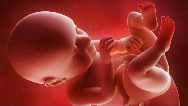 Bà bầu bổ sung đầy đủ sắt có thể giúp thai nhi phát triển khỏe mạnh