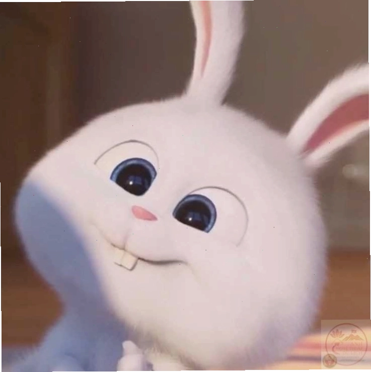 Biến tấu ảnh Snowball meme với caption ngắn