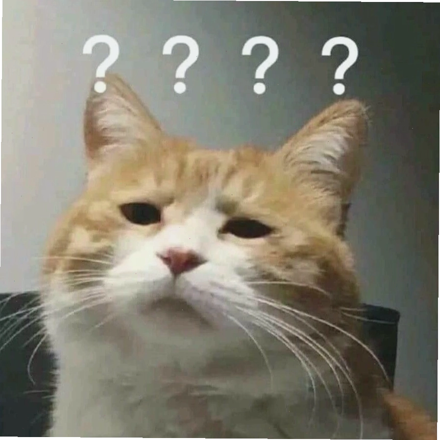 Biểu cảm hài hước của mèo trong meme