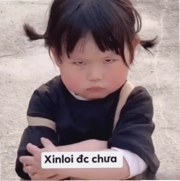 Biểu cảm hài hước trên meme xin lỗi