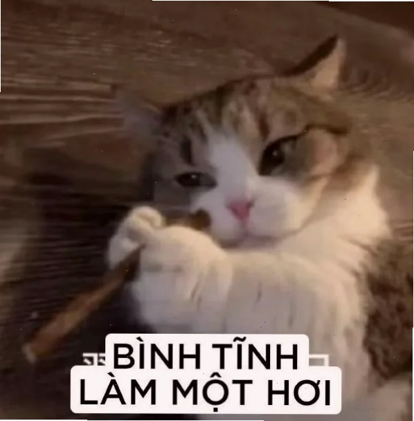 Biểu cảm hài hước trong meme Bình Dương